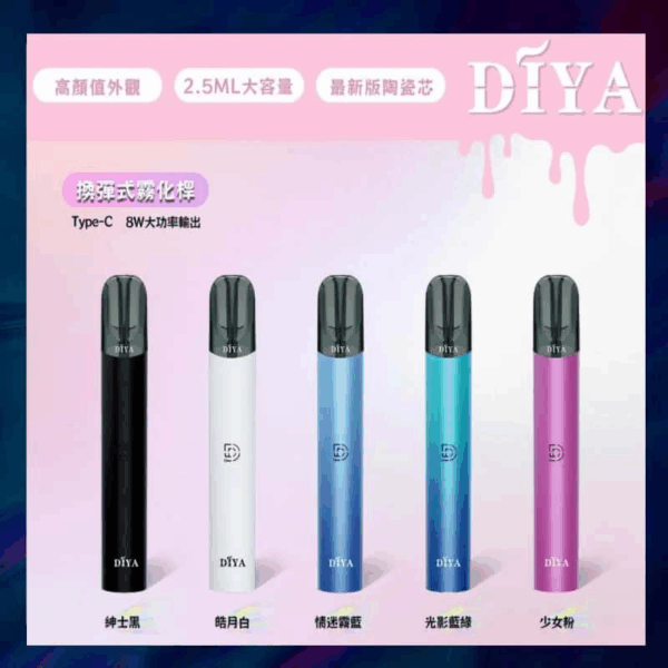 DIYA叮啞主機<br>【通用一代二代蛋】